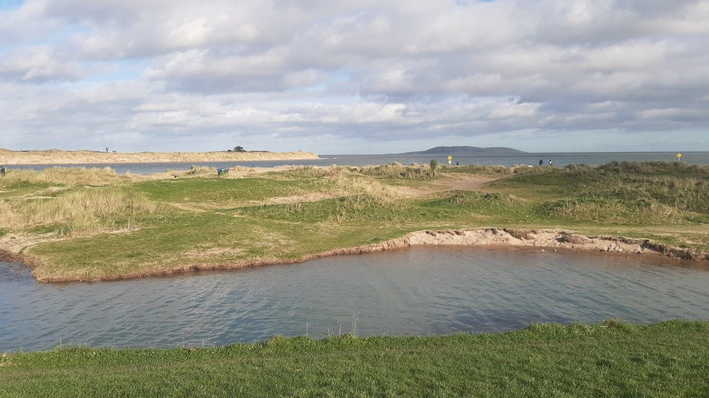 Learning, Resourcing, Delivering: Closing the Gap in Local Climate&nbsp;Action